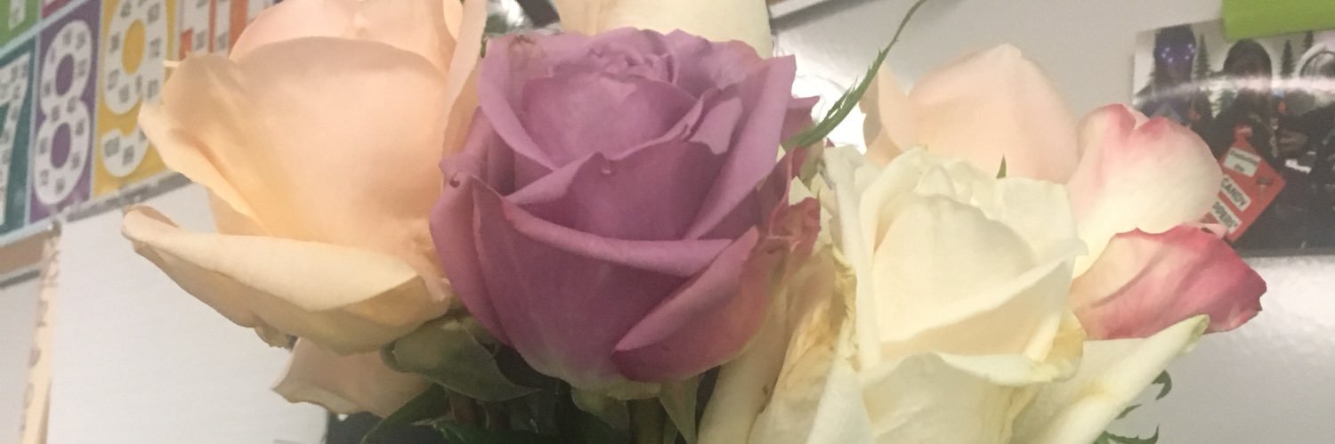 Mandy Partida banner