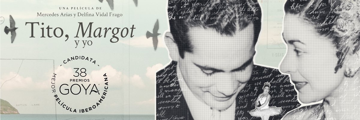 DelfinaVidalF's profile banner image