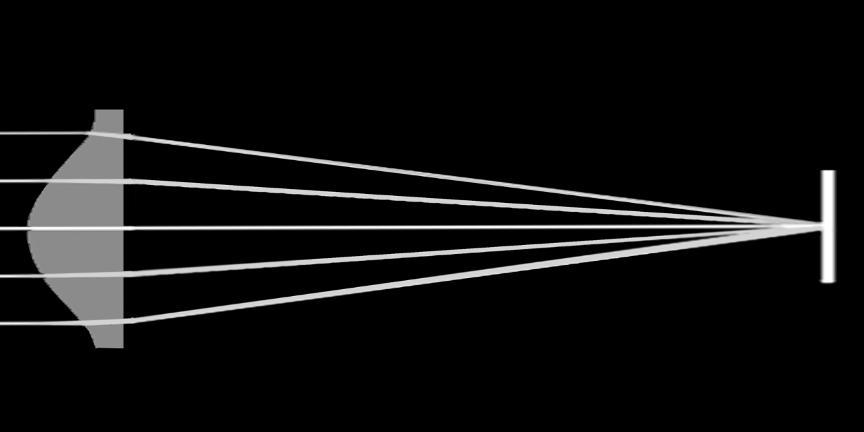 Guillermo Alvarez banner