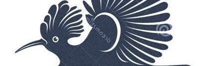 fuadzid's profile banner image