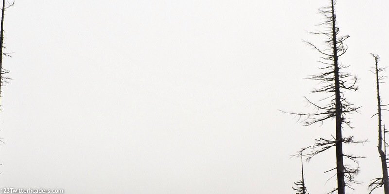 falloutana's profile banner image