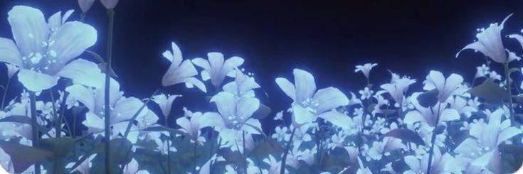 VOL0DIA's profile banner image