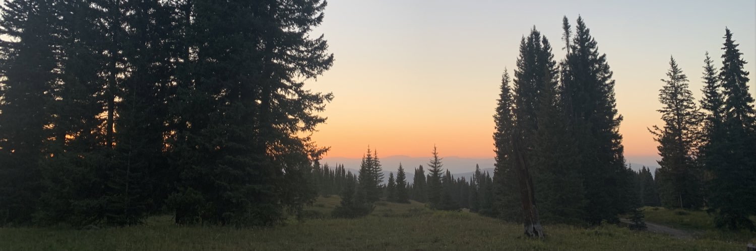 Susannah E. C. Hurd banner