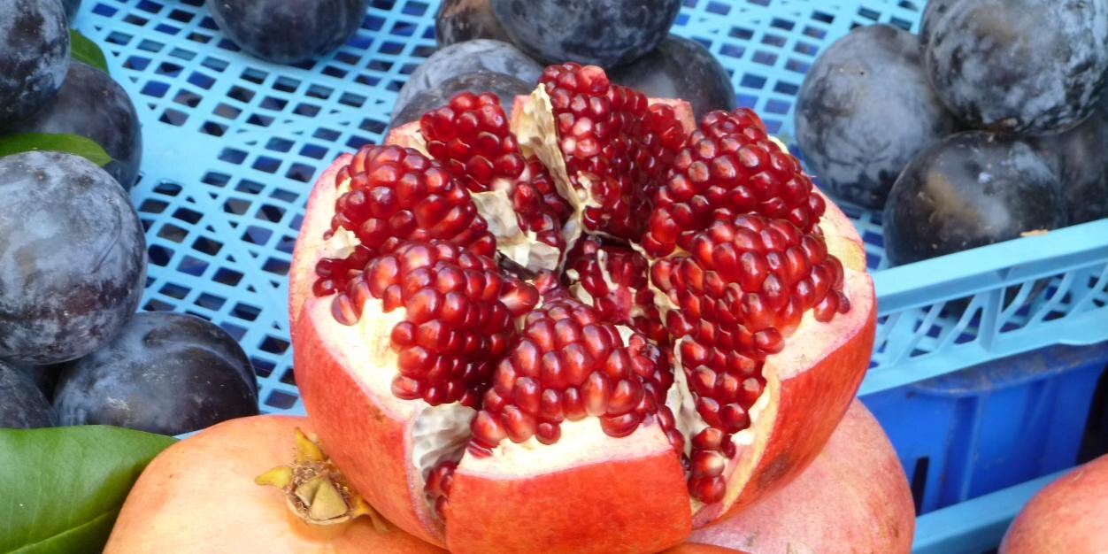 Carolyn Tampe banner