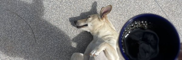 whindersson Profile Banner