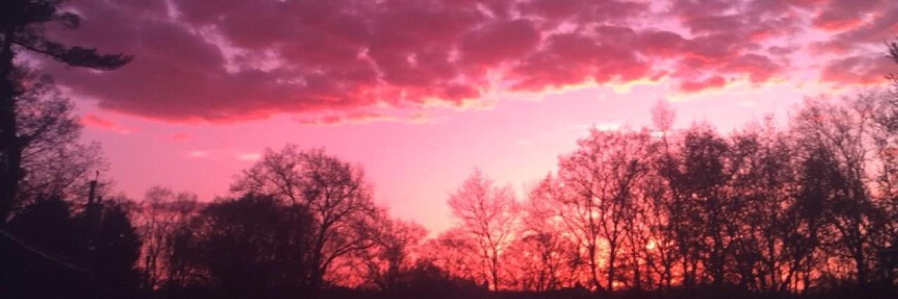 stephsweeney_'s profile banner image