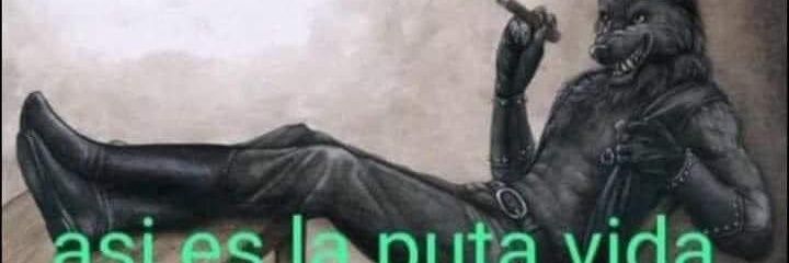 valvalvalfc's profile banner image