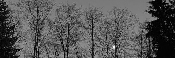 rayzrlove Profile Banner