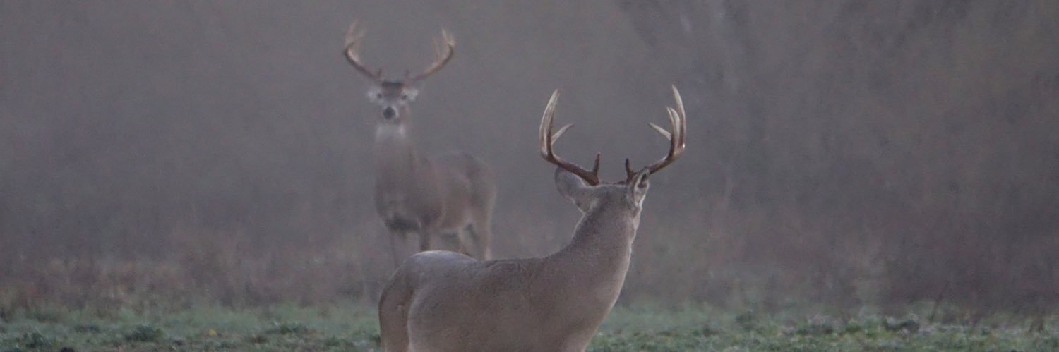 austinwalker45's profile banner image