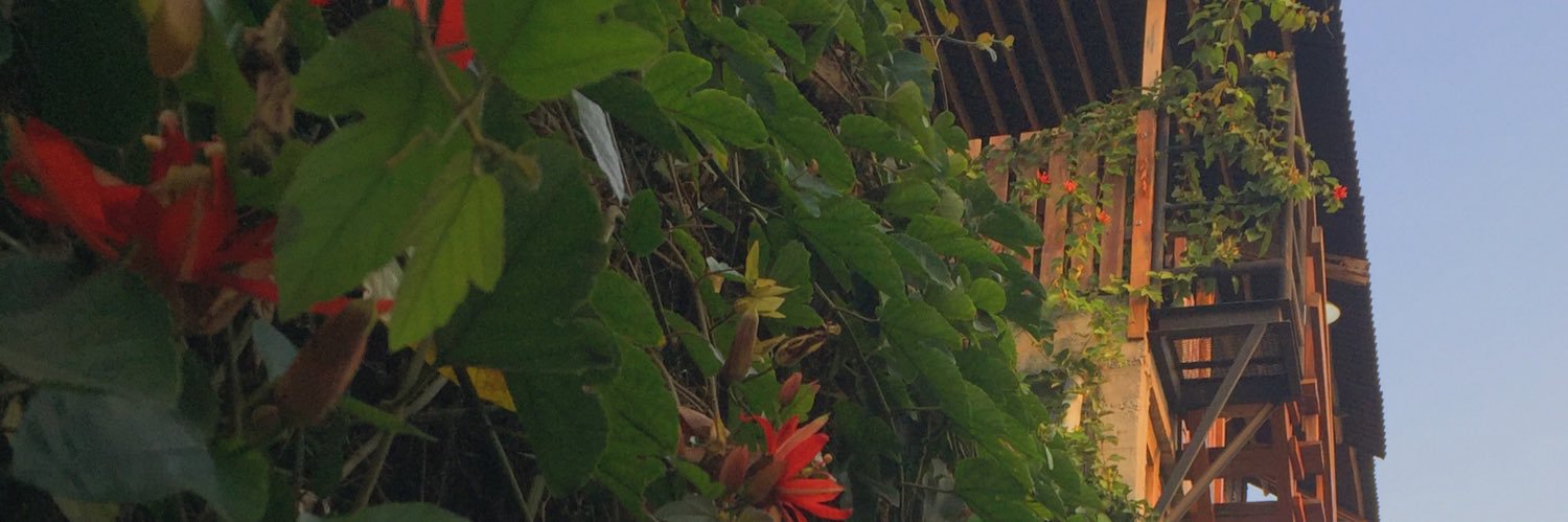 ramesayur's profile banner image