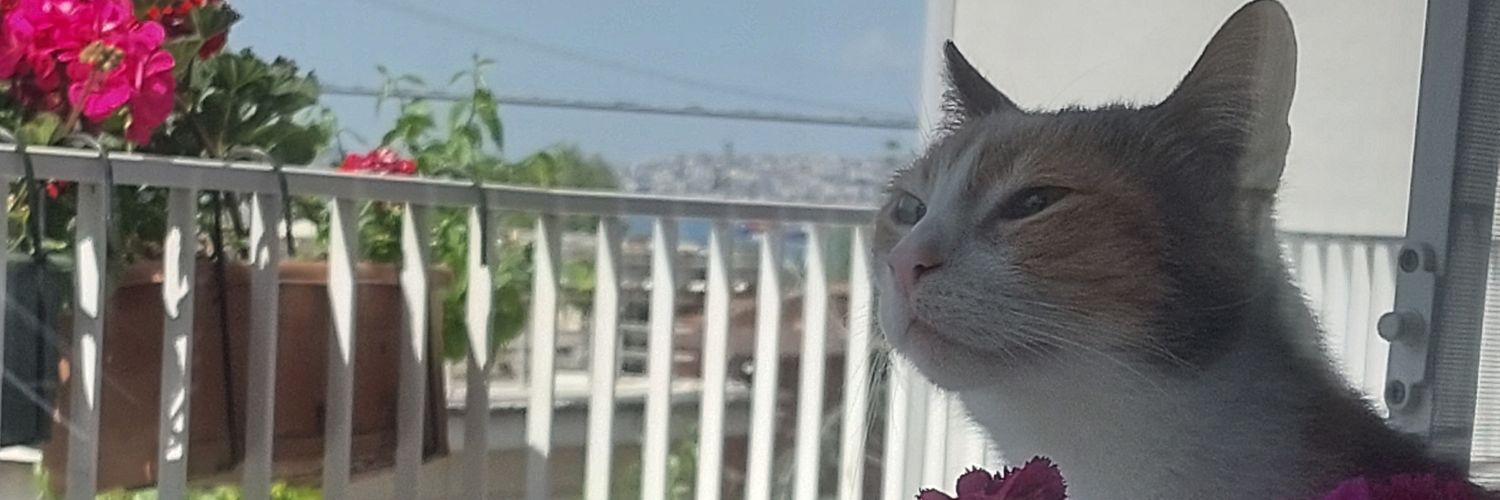 glzcsk's profile banner image