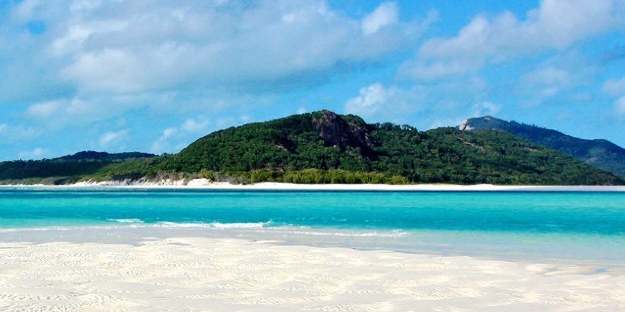 صفية العامري banner