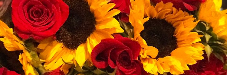 anagomeznc's profile banner image