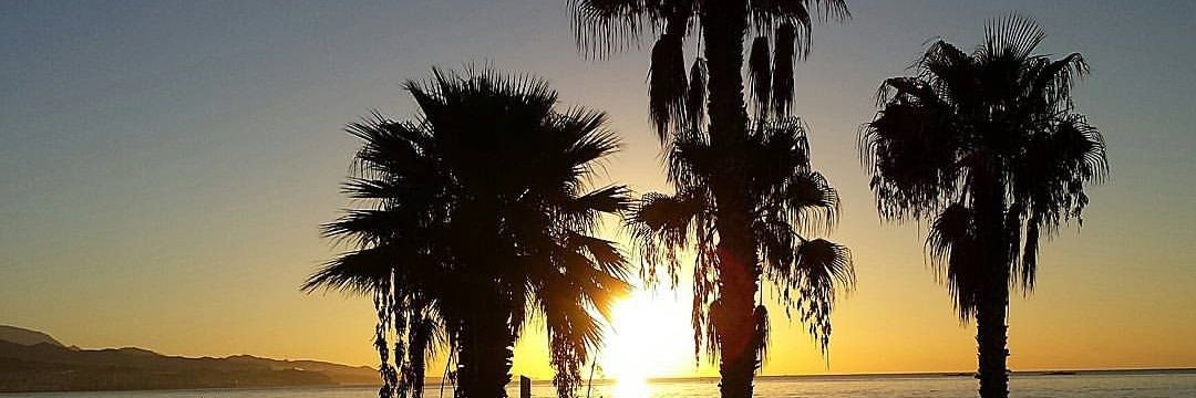 _SweetRealLife_'s profile banner image