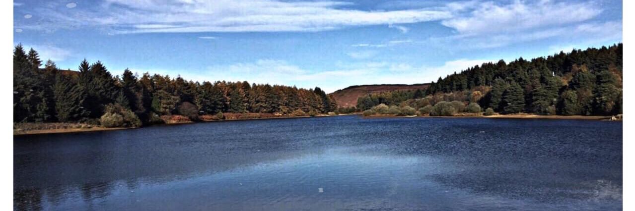 Chloejadeburkey's profile banner image