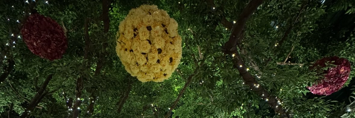 amboogey's profile banner image