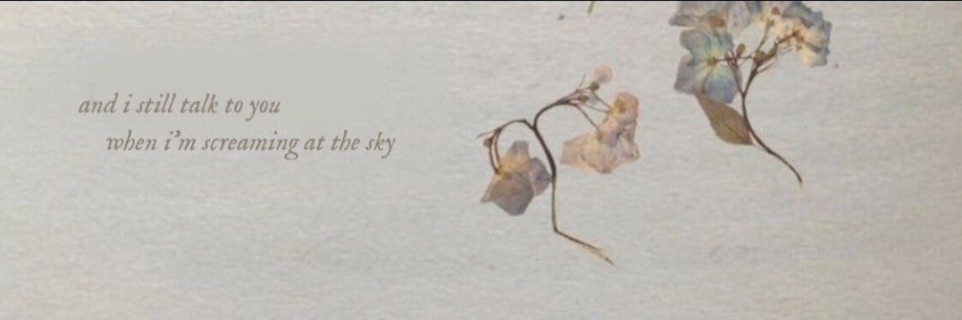 sionnach 🦊 banner