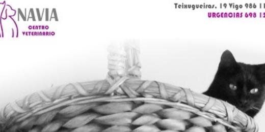 CVNavia's profile banner image