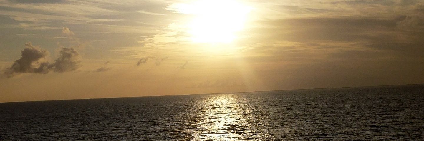 wotthag's profile banner image
