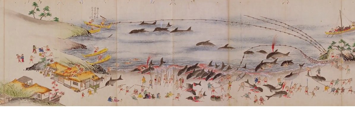 鯨類に感謝 Thanks Cetacea（くじらの消費者運動@yundagananikayoの者） banner