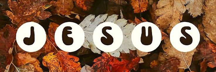 MsKAMOR's profile banner image