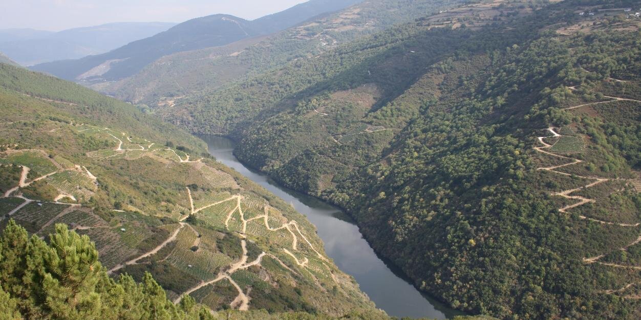 bodegasap's profile banner image