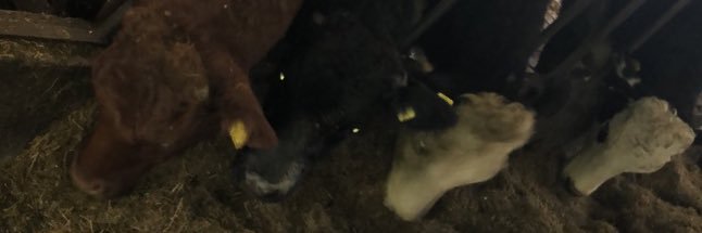 Killian O Sullivan banner