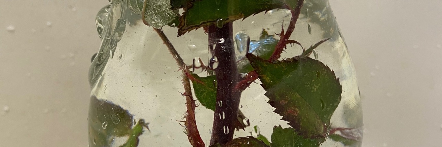 carolrjay's profile banner image