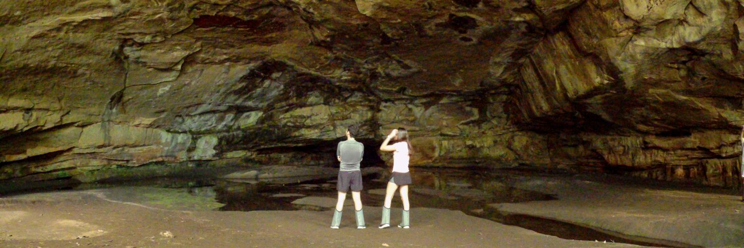 Luiz Medeiros banner