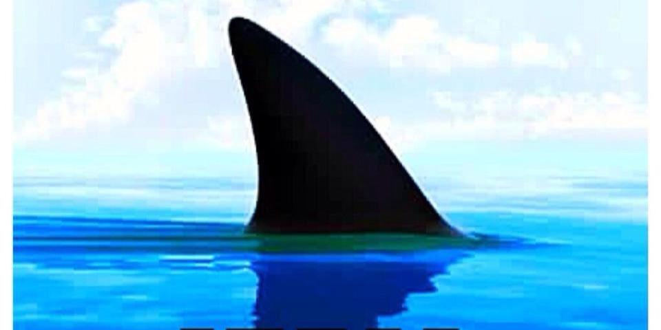 maxpsanders's profile banner image