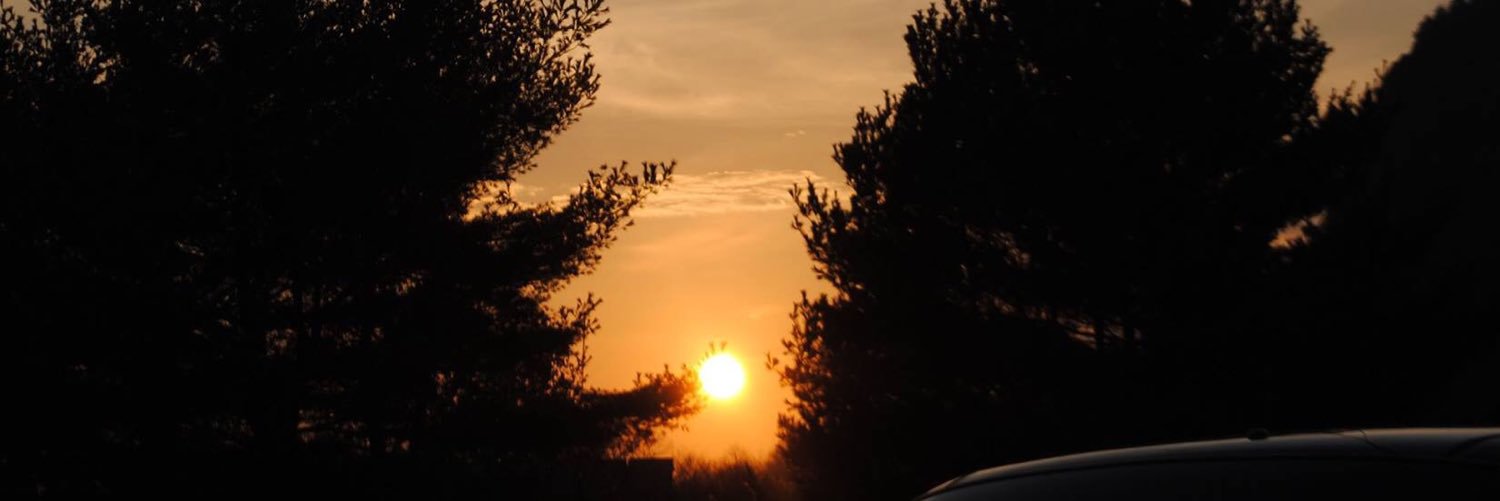 bridgetmott's profile banner image