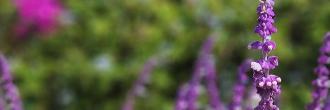 ( ꈍᴗꈍ)🧣 banner