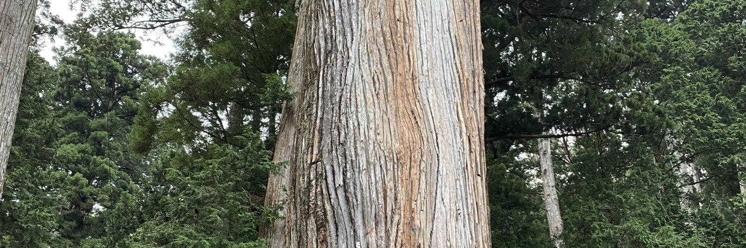 RyosukeShibuya banner