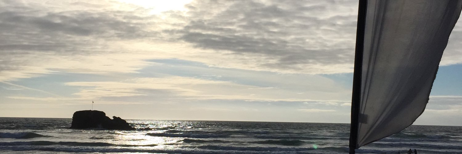 satchysarah's profile banner image