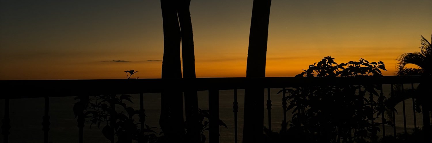 armandeusss's profile banner image