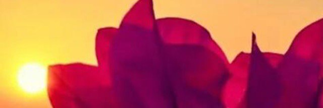 BNNNB11's profile banner image