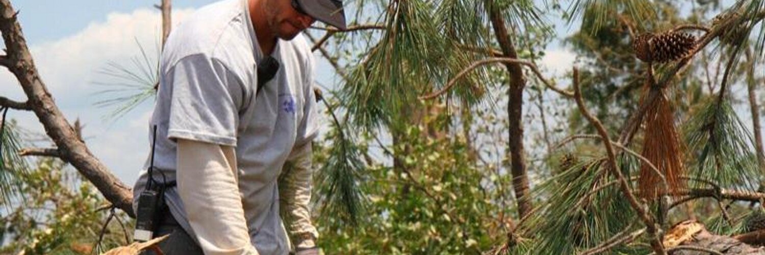 Cody Walker (codywalkerroww) / Twitter