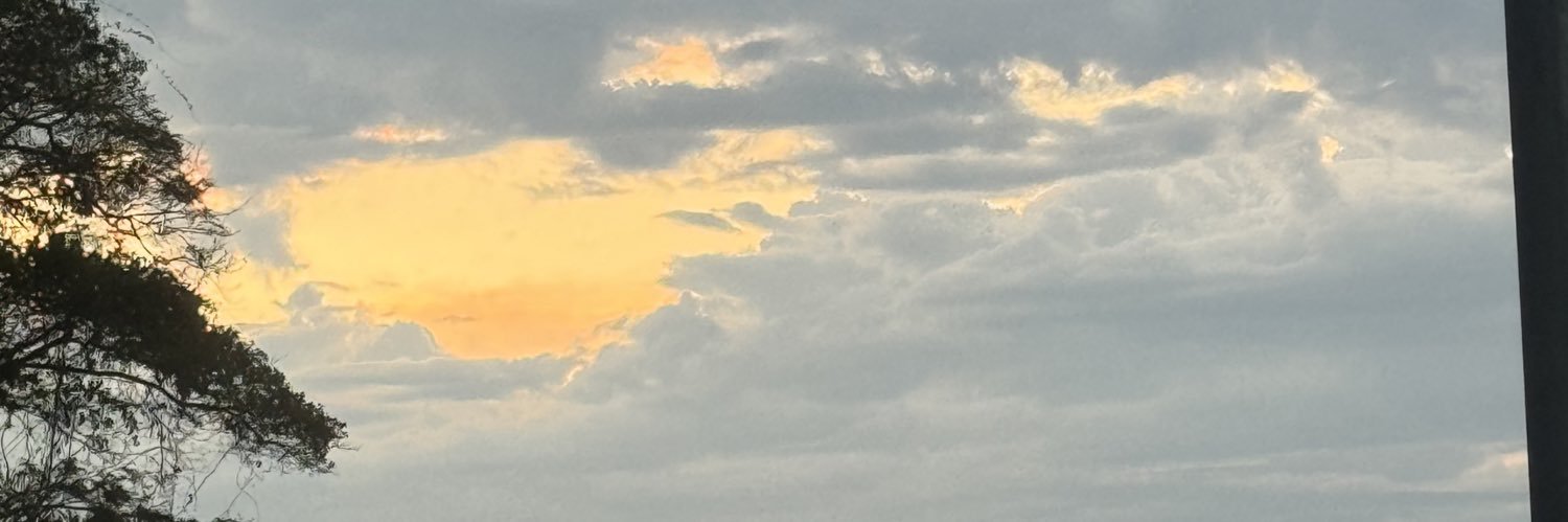 sousatainaa's profile banner image