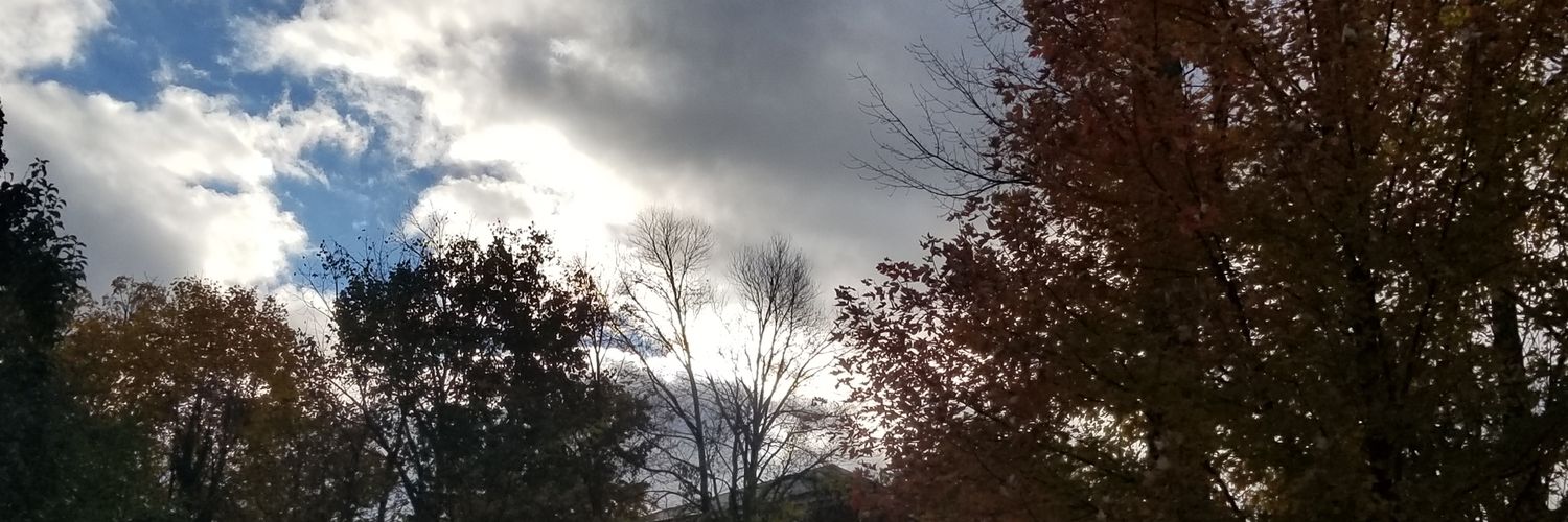 _Bre_Marie_'s profile banner image