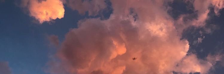 hallafaith's profile banner image