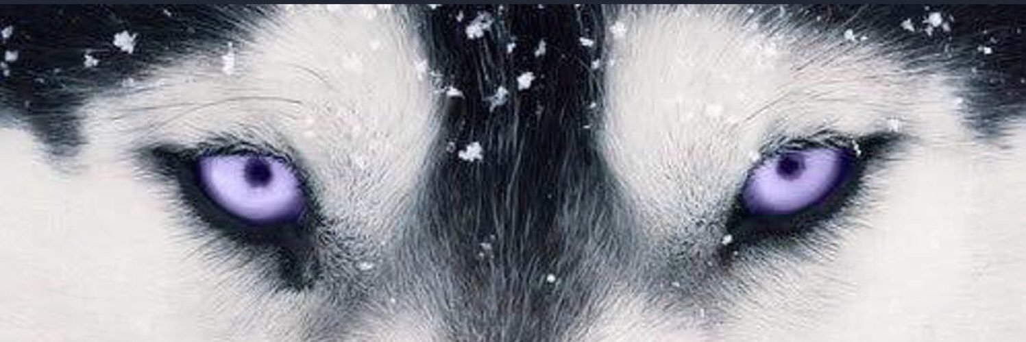a1 banner