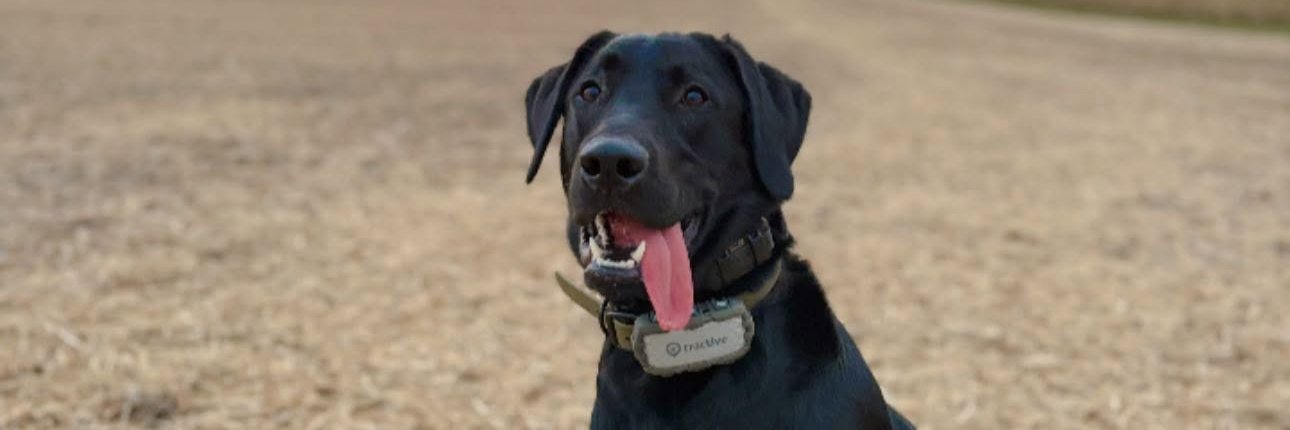 BrookCasa's profile banner image