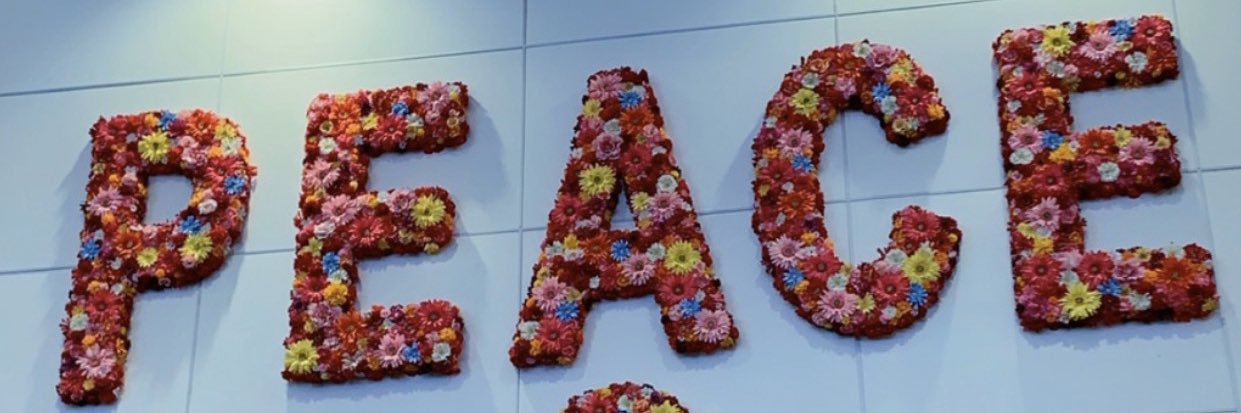 weellemma's profile banner image