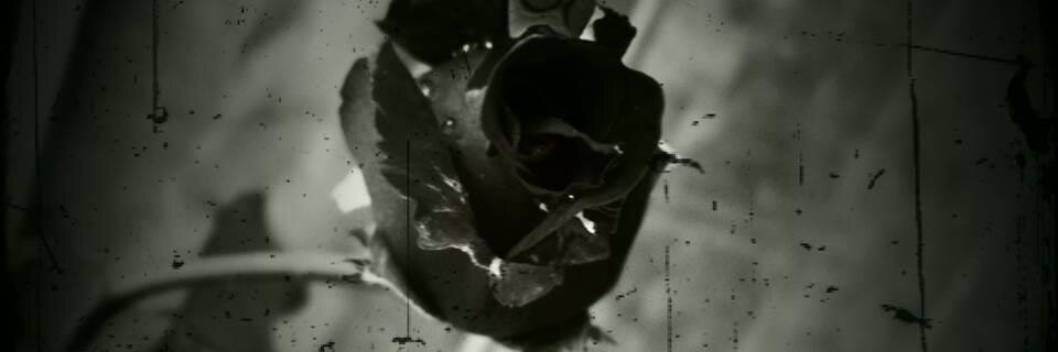dillinger_cass's profile banner image