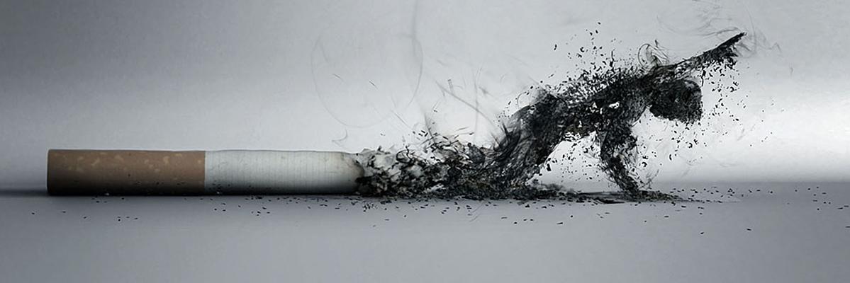 mateo_mosko's profile banner image