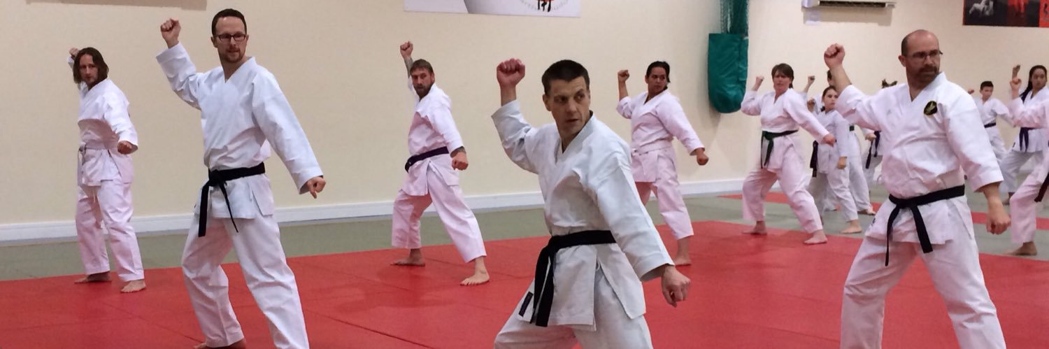 Carmarthen Karate banner