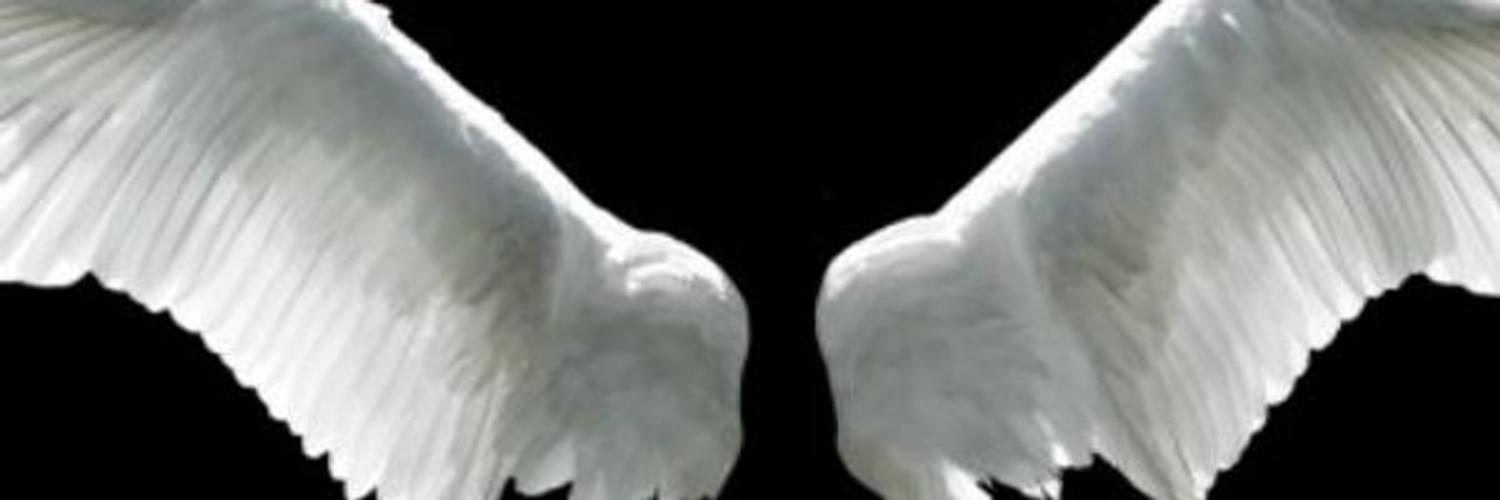 Vri2TW's profile banner image