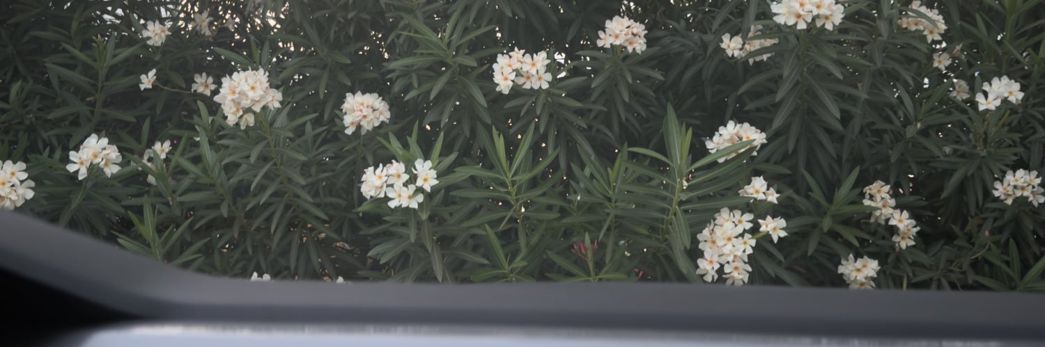 emianomc's profile banner image