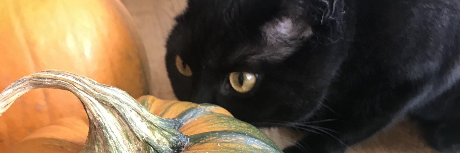 Feeeeeexo's profile banner image