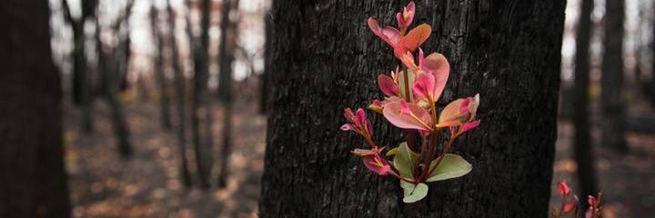 lucypetit's profile banner image